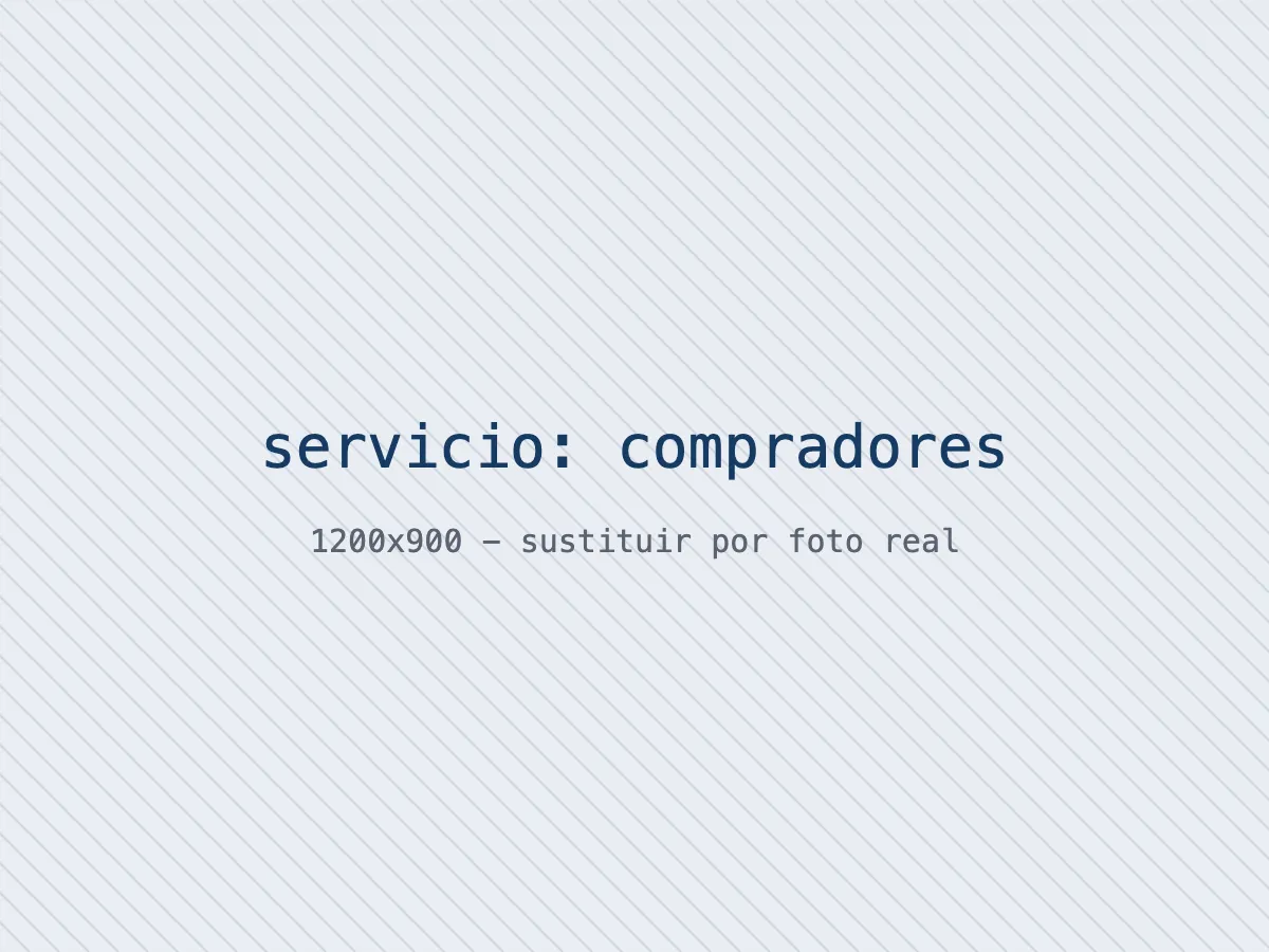 Reunión confidencial entre consultor y comprador potencial de un taller